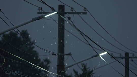 冬天夜晚傍晚下雪电线杆路灯