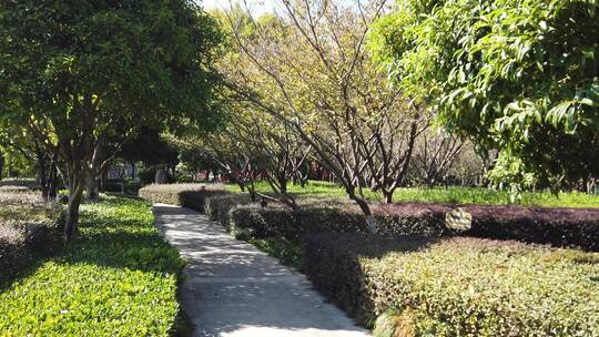 4k 千岛湖公园花园自然风景