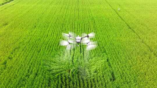 4K航拍智慧农田无人植保机稻田打农药