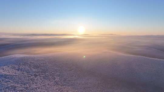 林海雪原雾凇日出250104