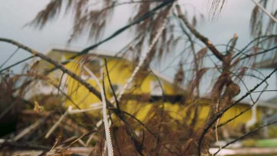 巴哈马多里安飓风造成的电线断裂和破坏