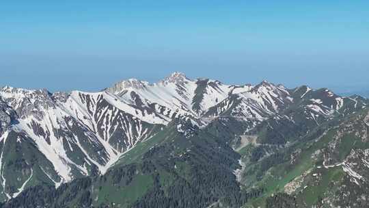 航拍新疆伊犁雪山上的云杉树