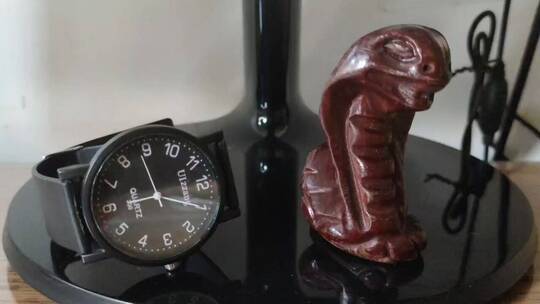 蛇形木雕和手表