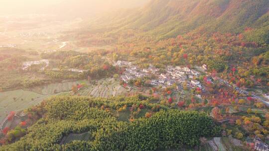 塔川秋色