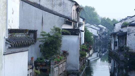 绍兴仓桥直街古街道风景视频