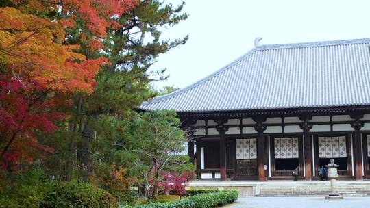 日本京都金福寺视频素材模板下载