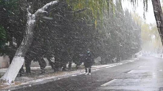 冬天大雪纷飞，一个人行走在街道上的慢镜头