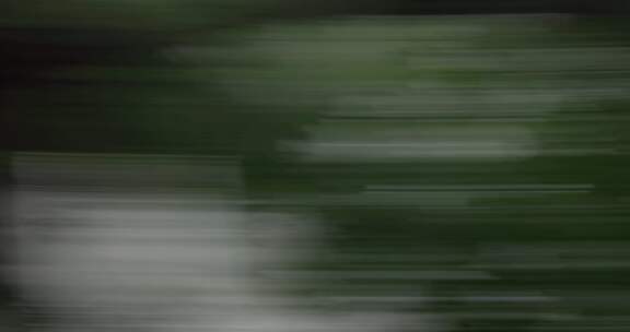 树叶 树林快速转场镜头