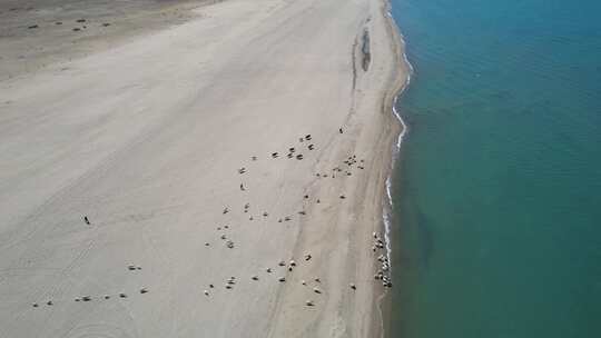 青海海南青海湖湖面海岸航拍视频