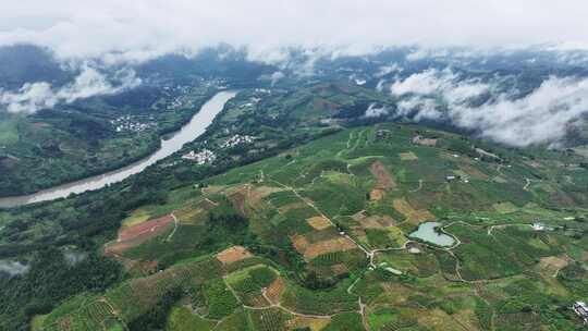 广西桂林阳朔金桔生态种植基地