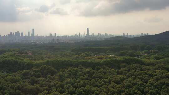 4K夏日南京城市天际线 钟山风景区