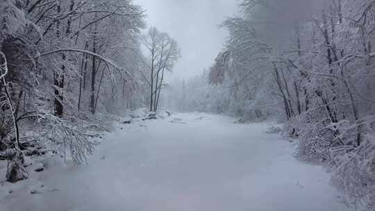 东北冬天暴雪大雪中的林海雪原