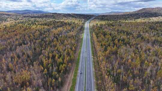 黑龙江伊春秋天公路