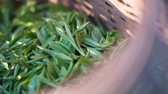竹篮中鲜嫩茶叶特写