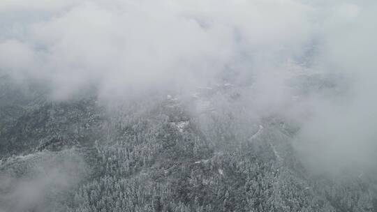 航拍冬天雪景云层之上迷雾视频素材模板下载