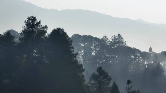 清晨的山林云雾山水画