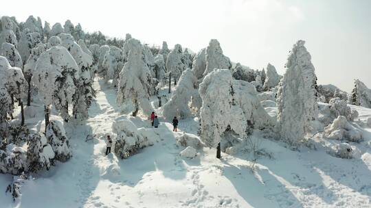 临安百丈岭雾凇雪景风光