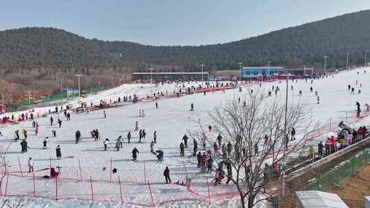 户外滑雪场中许多人在滑雪的热闹景象