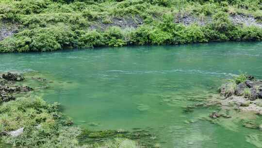 青山绿水