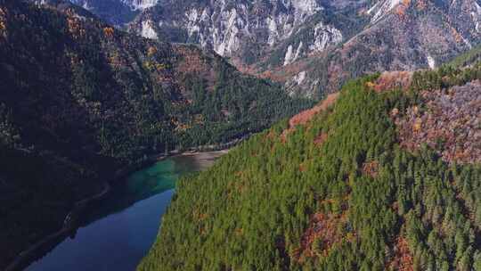 九寨沟诺日朗瀑布航拍