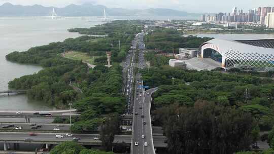 深圳人才公园-沙河西路城市车流