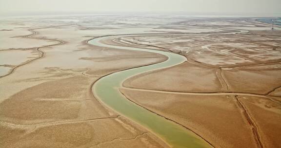 山东东营黄河入海口大地之树8k航拍