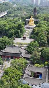 竖屏航拍重庆华岩旅游风景区华岩寺