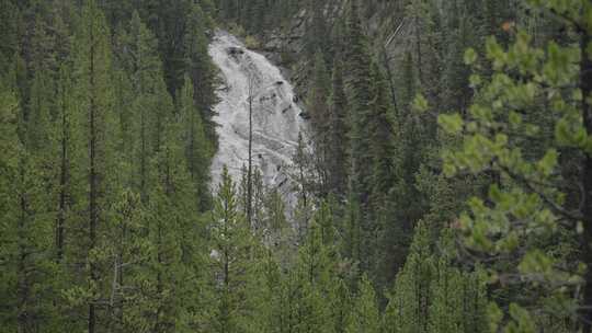 Yellowstone，国家公园，怀俄明