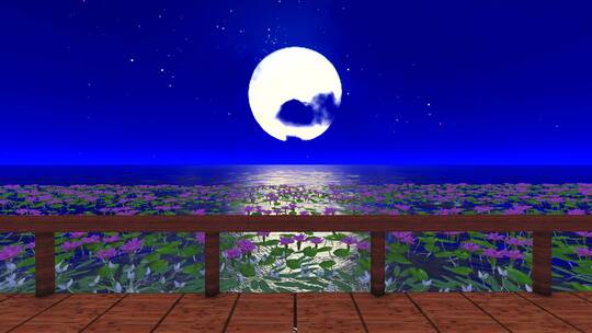 大海湖面水面荷花木桥-夜景明月视频素材模板下载