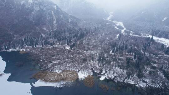 大雪纷飞冰天雪地的原始森林公园航拍