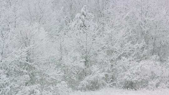 冬天冰雪视频素材模板下载