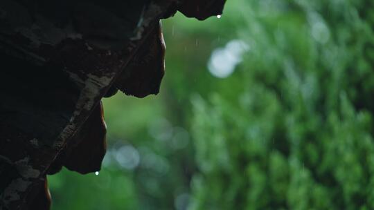 禅意写意东方美学雨景唯美空镜