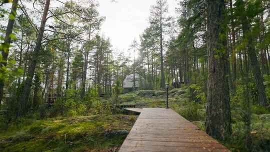 蒙古包，林地，Glamping，宾馆