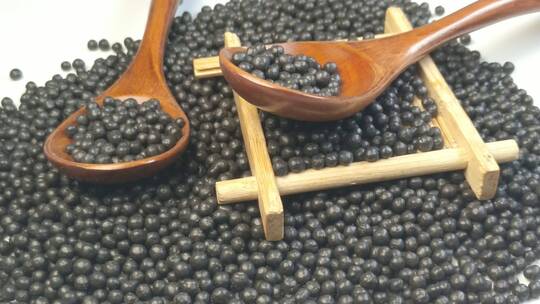 中药中药材药丸