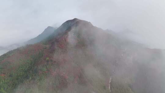 黔东南丹寨龙泉山杜娟花航拍