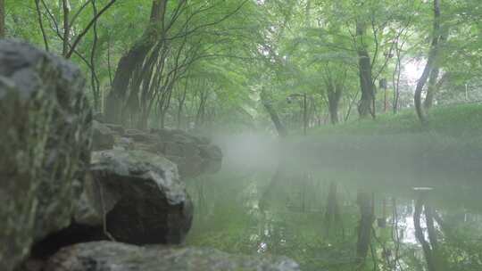 烟雨江南 小溪 仙境 晨雾 森林