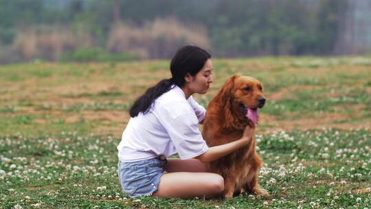 长腿美女和金毛宠物犬在春天开满花草地玩耍