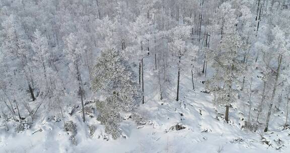 零下40度的低温航拍大兴安岭冰雪雾凇