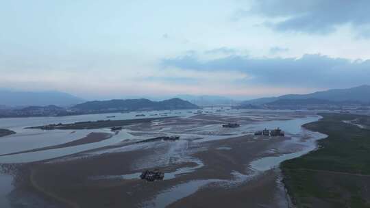 航拍闽江河口湿地小岛果园茉莉花田沙洲河汊