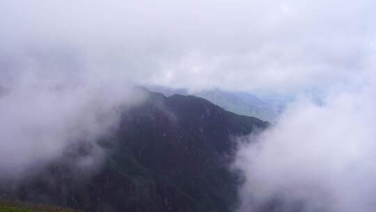 森林云海山峰云雾缭绕雨后树林山林山脉风景