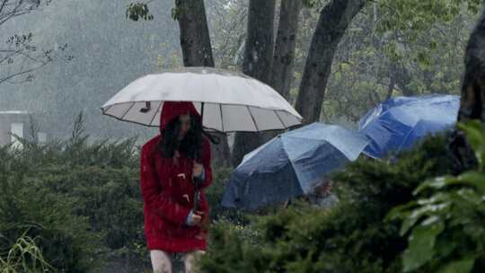 孩子们站在雨伞下在雨中玩耍