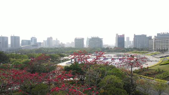 春天里花开的城市