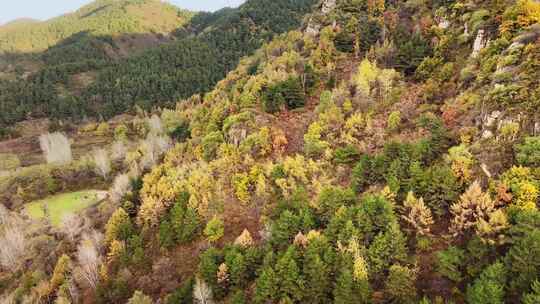 秋天森林山脉风景