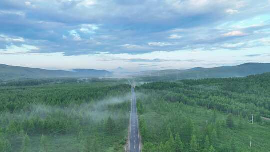 航拍黄昏穿越云雾森林的公路