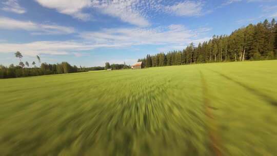 FPV穿越机无人机航拍稻田麦田田野农场牧场