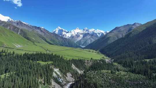 新疆昭苏夏塔雪山