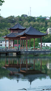 武汉汉阳莲花湖公园风景