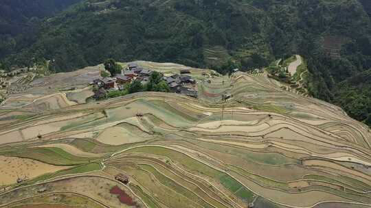 航拍贵州黔东南从江加榜梯田（原视频）