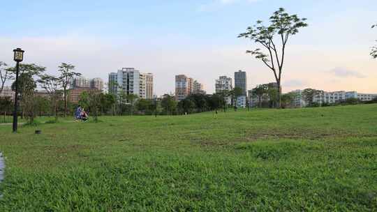 城市绿化、公园绿化、生态城市、公园景观
