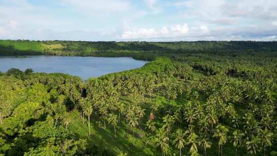 航拍森林湖泊绿色蓝天白云唯美大自然